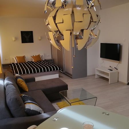 Apartment Oasis Banovo Brdo-Ada Ciganlija Belgrado Esterno foto